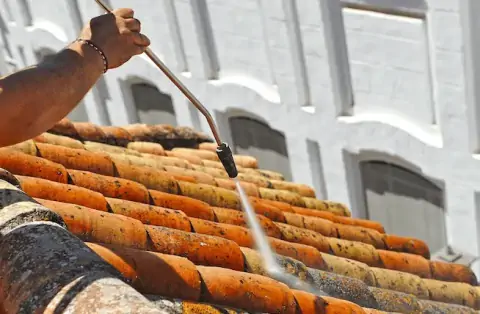 Nettoyage de toitures - Plougrescant